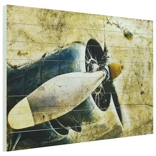 Empire Art Direct Arte de Legno 30" x 45" Airplane Digital Print Planks Wall Art